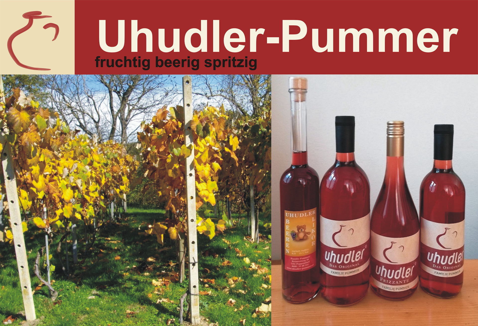 uhudler-kaufen-uhudler-shop-uhudler-pummer-1