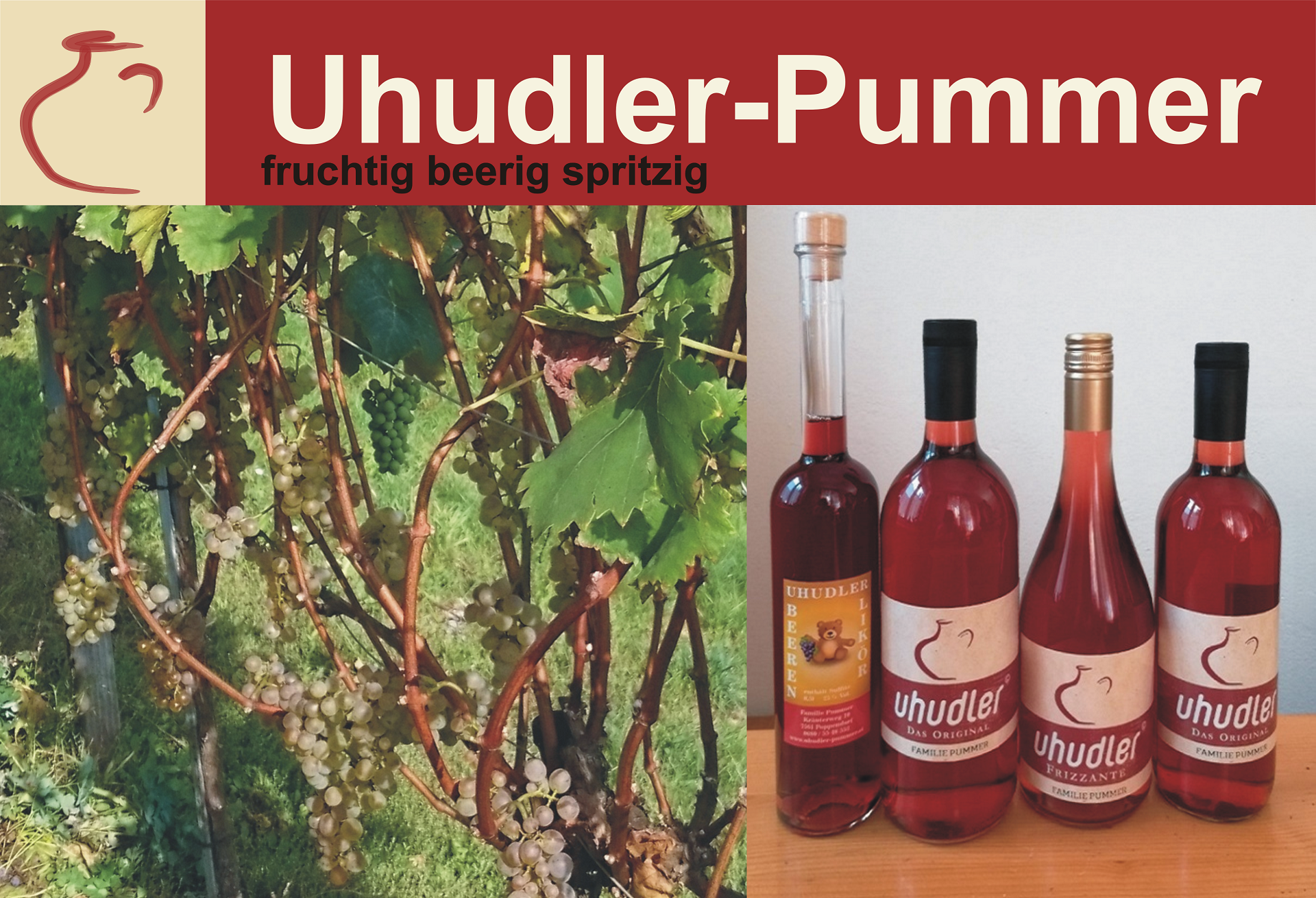 uhudler-kaufen-uhudler-shop-uhudler-pummer-3